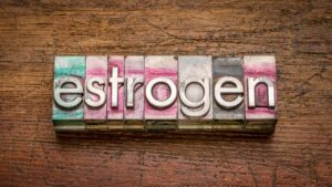 Estrogen and the Gallbladder